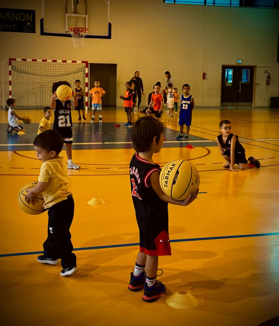 Micro Basket