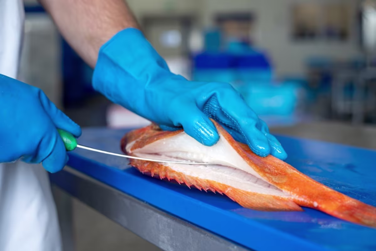 Sfeerbeeld Fix Fisch Specialiteit: Witvis