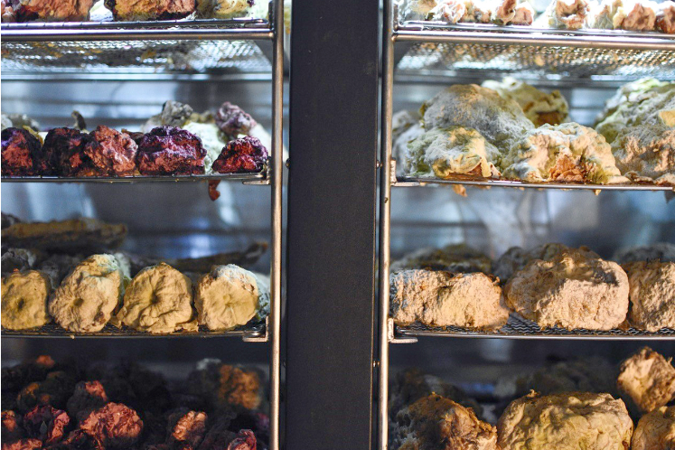 Sfeerbeeld techniek dry aging groente
