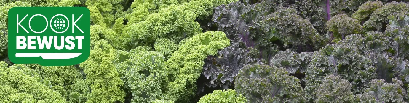 KOOK BEWUST Vergeten groente banner
