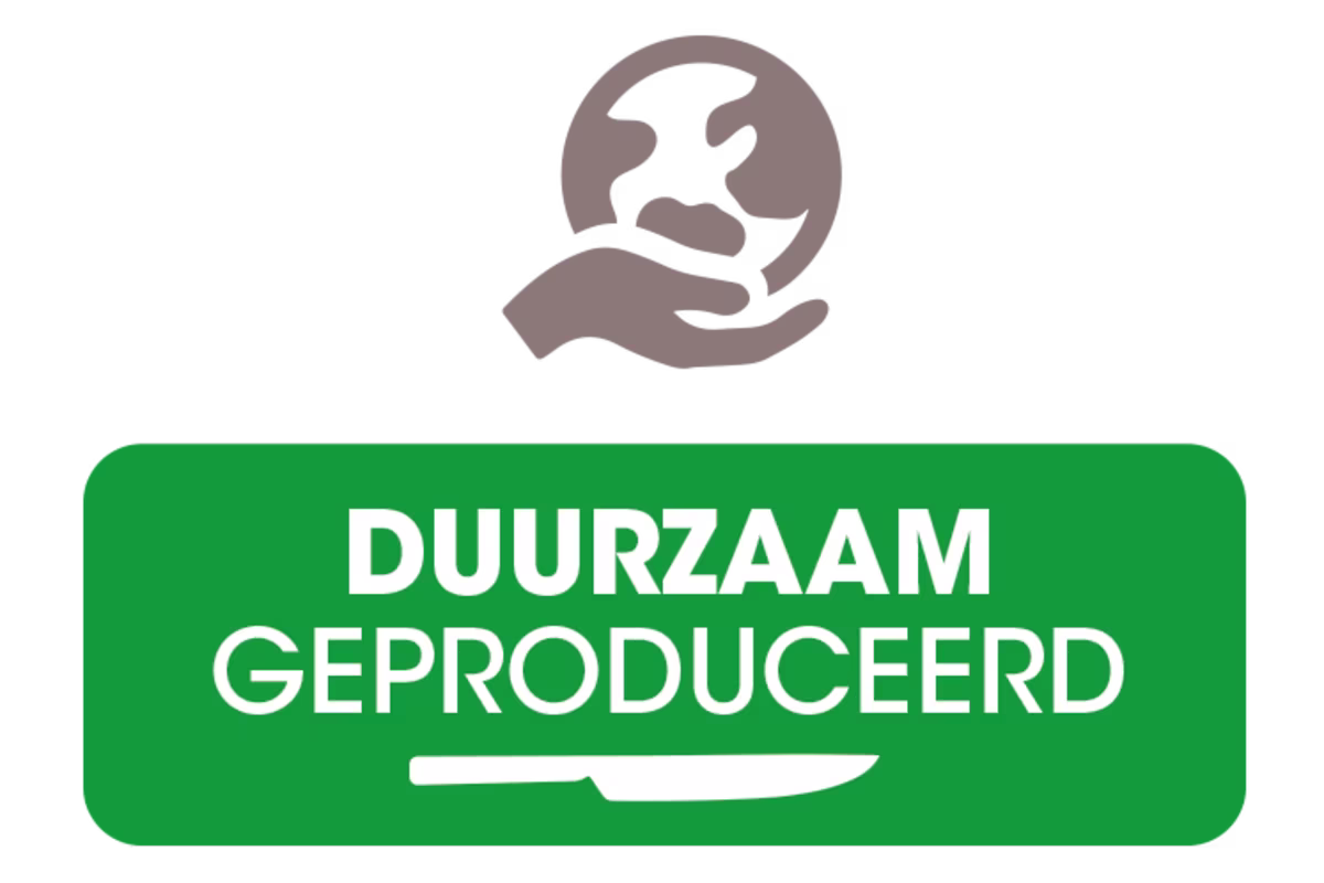 ban-han-kook-bewust-pijlers-duurzaam-2506-747x498