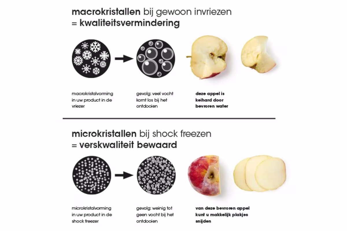 Afbeelding van Shock Freezing uitgelegd