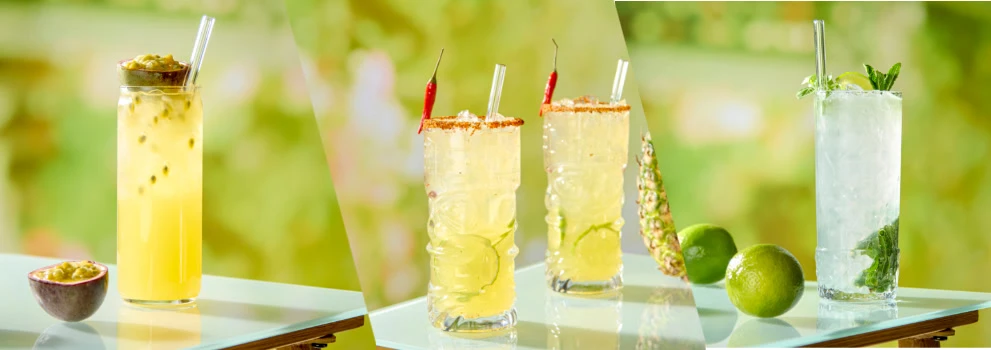 Inspiratie summer lemonade banner
