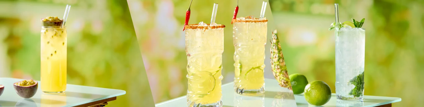Inspiratie summer lemonade banner