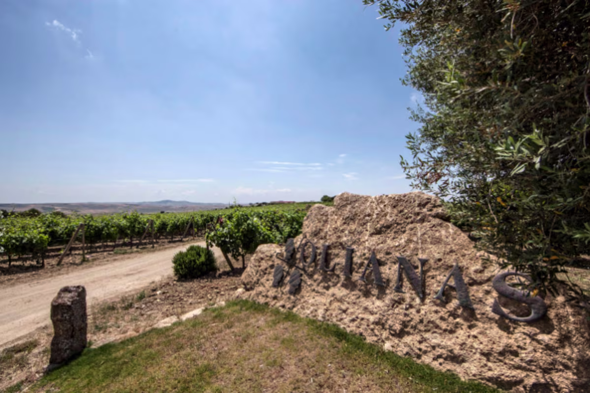 Prijzenfestival Culinaire wijnreis Sardinie