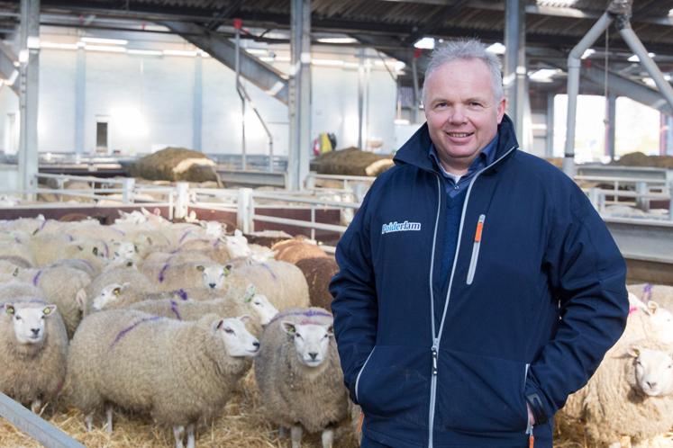 Sfeerbeeld Lamsvlees Klaas van Veen
