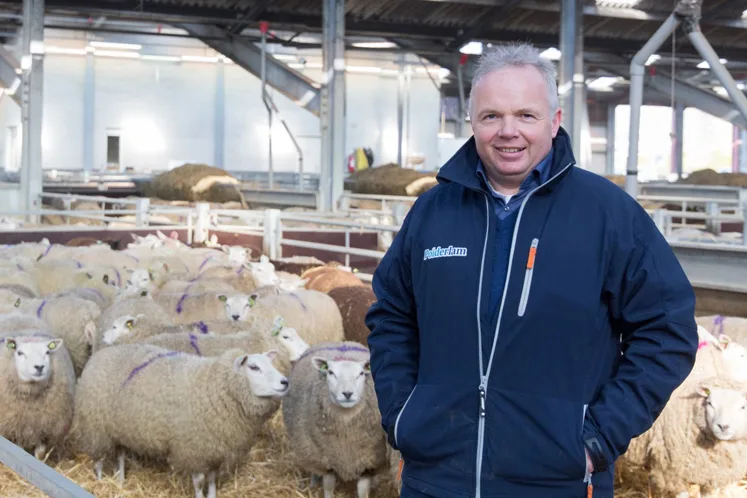 Sfeerbeeld Lamsvlees Klaas van Veen