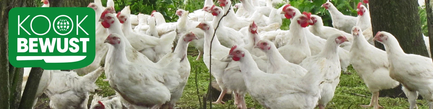 KOOK BEWUST Hollands boerderijhoen