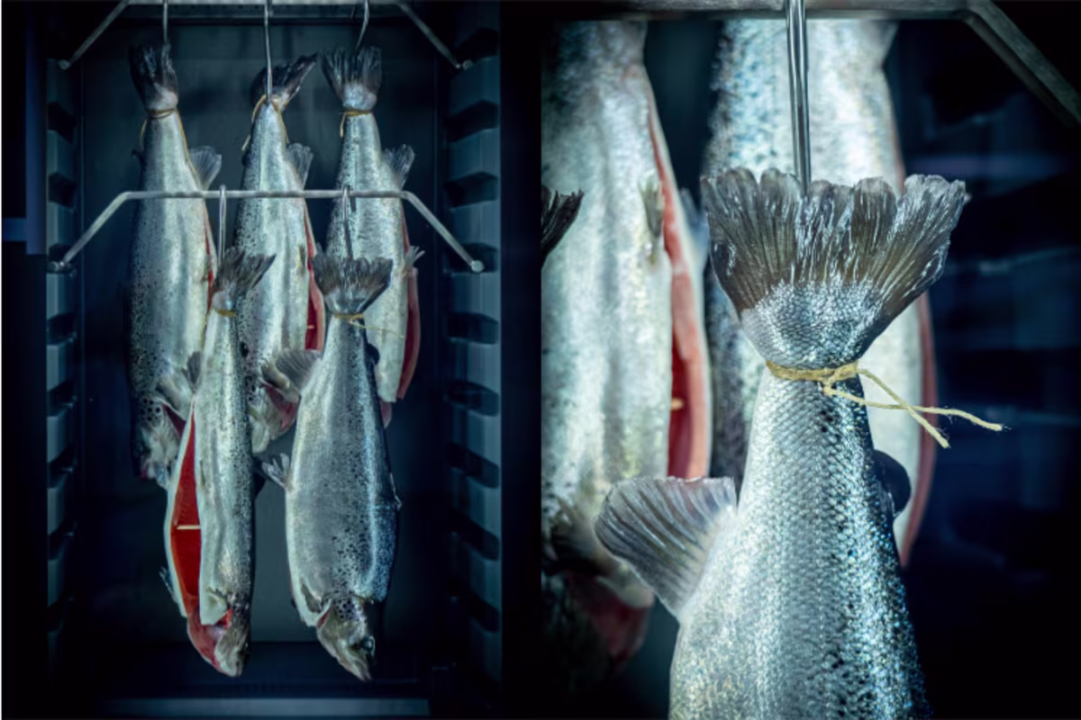 Sfeerbeeld Zalmboerderij Maashorst dry-aged zalm