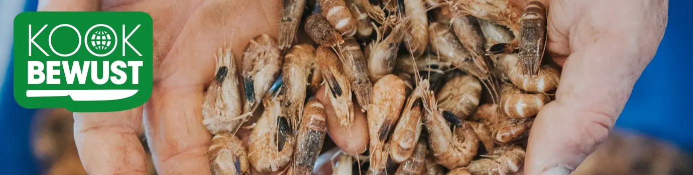 Kookbewust Solt garnalen banner