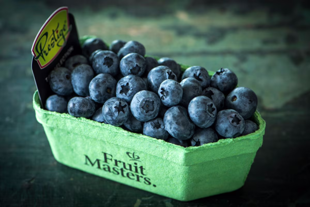 Prestige blauwe bessen beeld