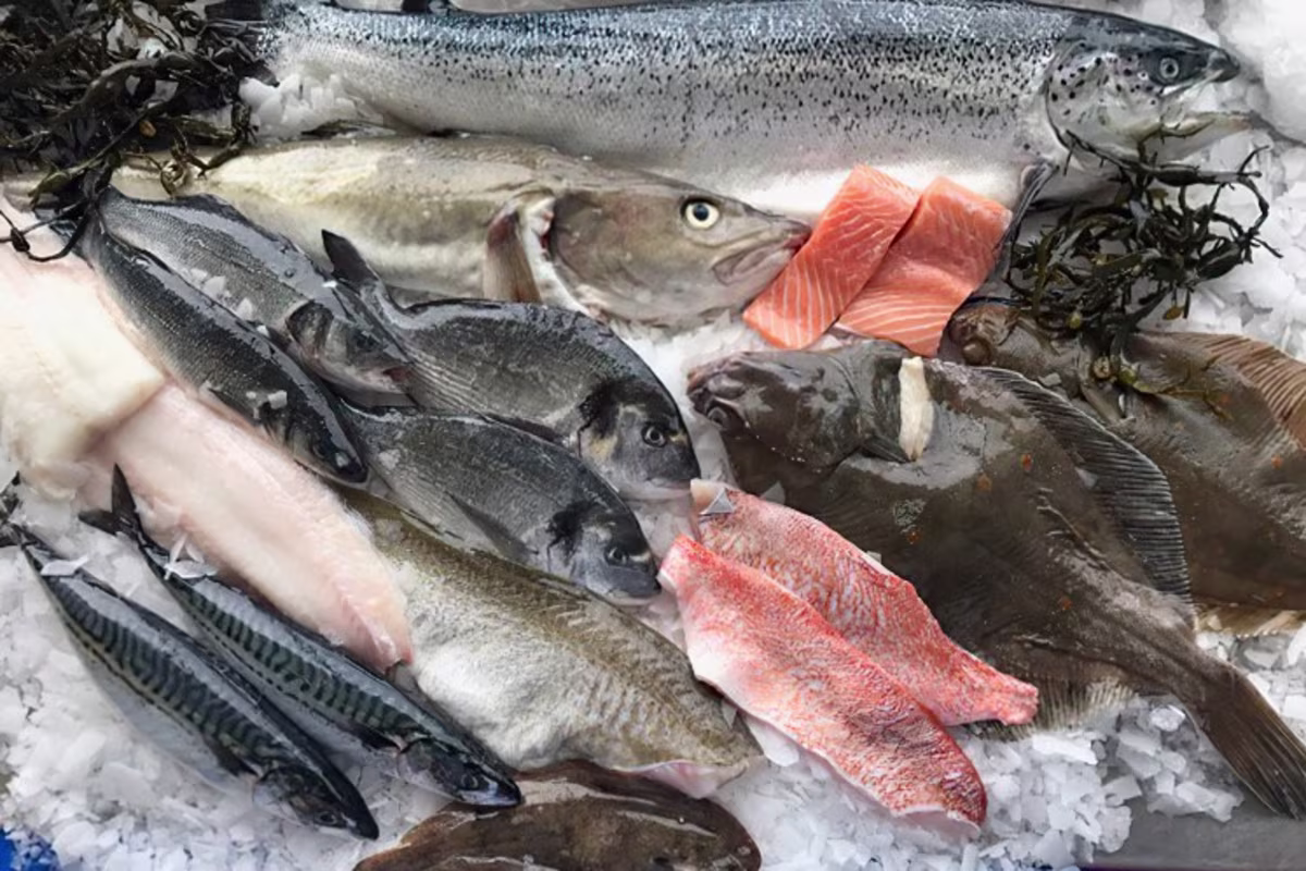 Sfeerbeeld Fix Fisch