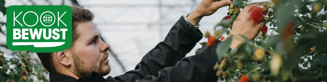 Kook bewust Vos Fruit banner