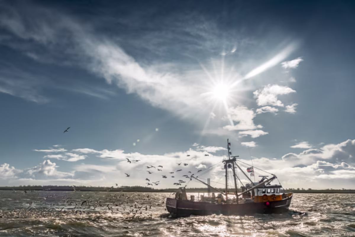 Kookbewust Solt sfeerbeeld