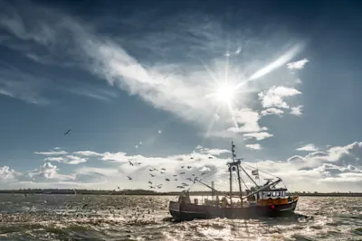 Kookbewust Solt sfeerbeeld