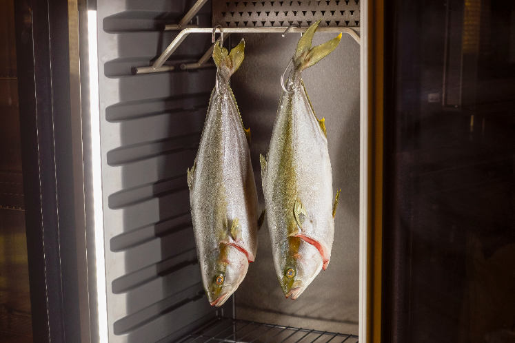 Dry-aging Vis