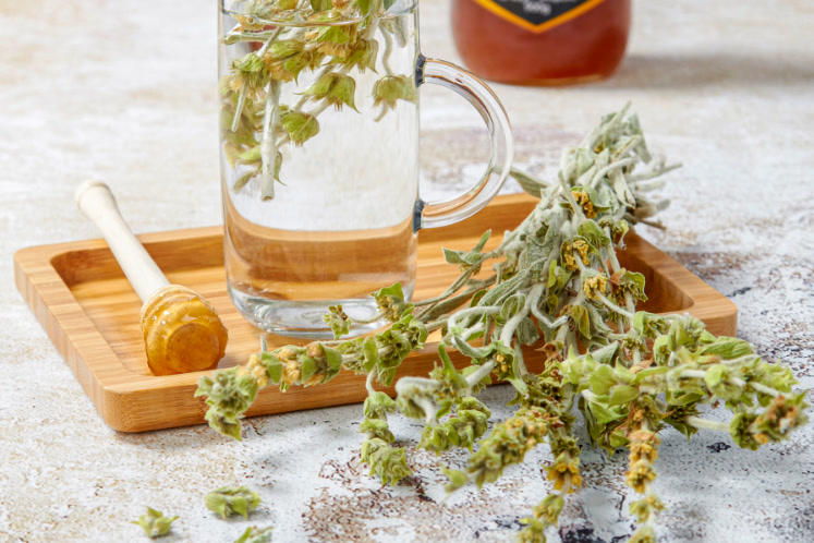 han-ban-horeca-concept-wereldse-keuken-griekenland-smaakmakers-2601-747x498