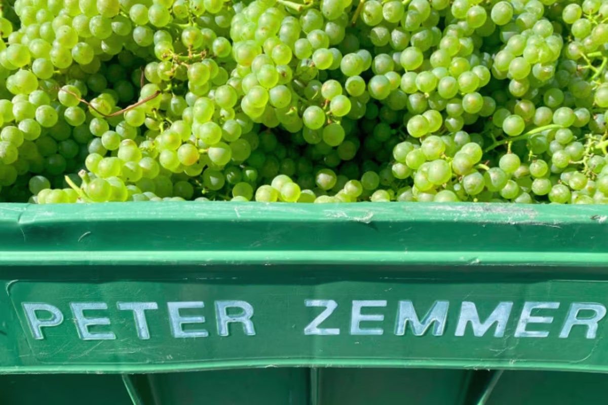 Prijzenfestival Culinaire wijnreis Peter Zemmer