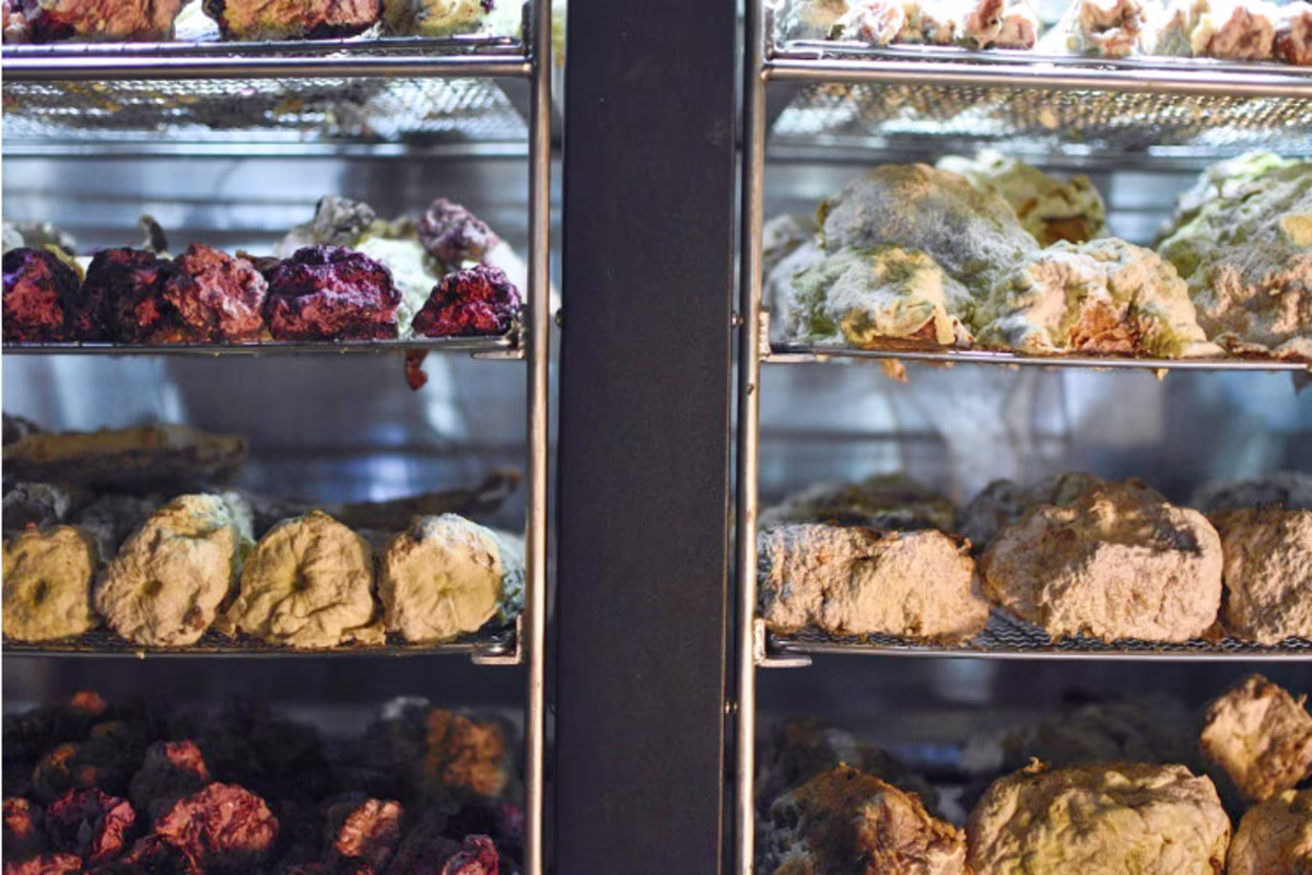 Sfeerbeeld van dry age groente rijpingskast