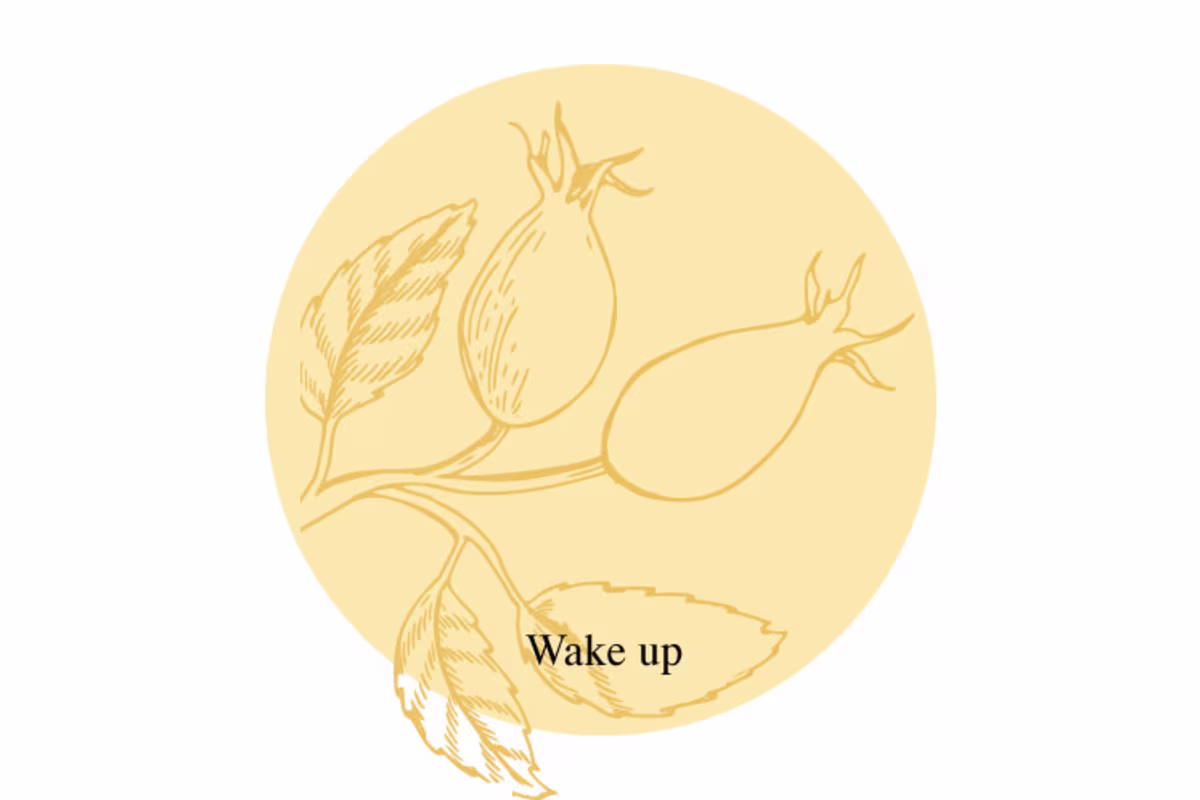 Logo Muma Healthy tea Wake up tea