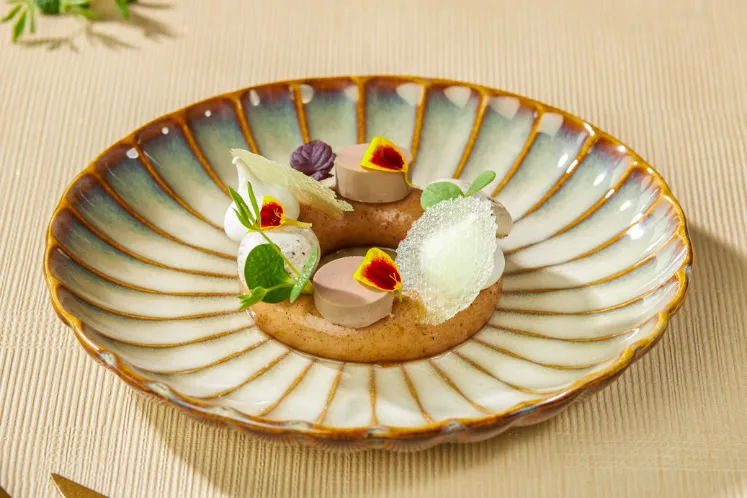 Alternatieven voor gemeste foie gras