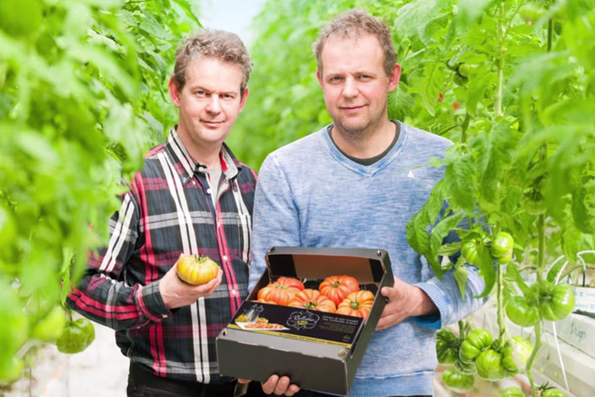 Kook Bewust Van den Belt tomaten