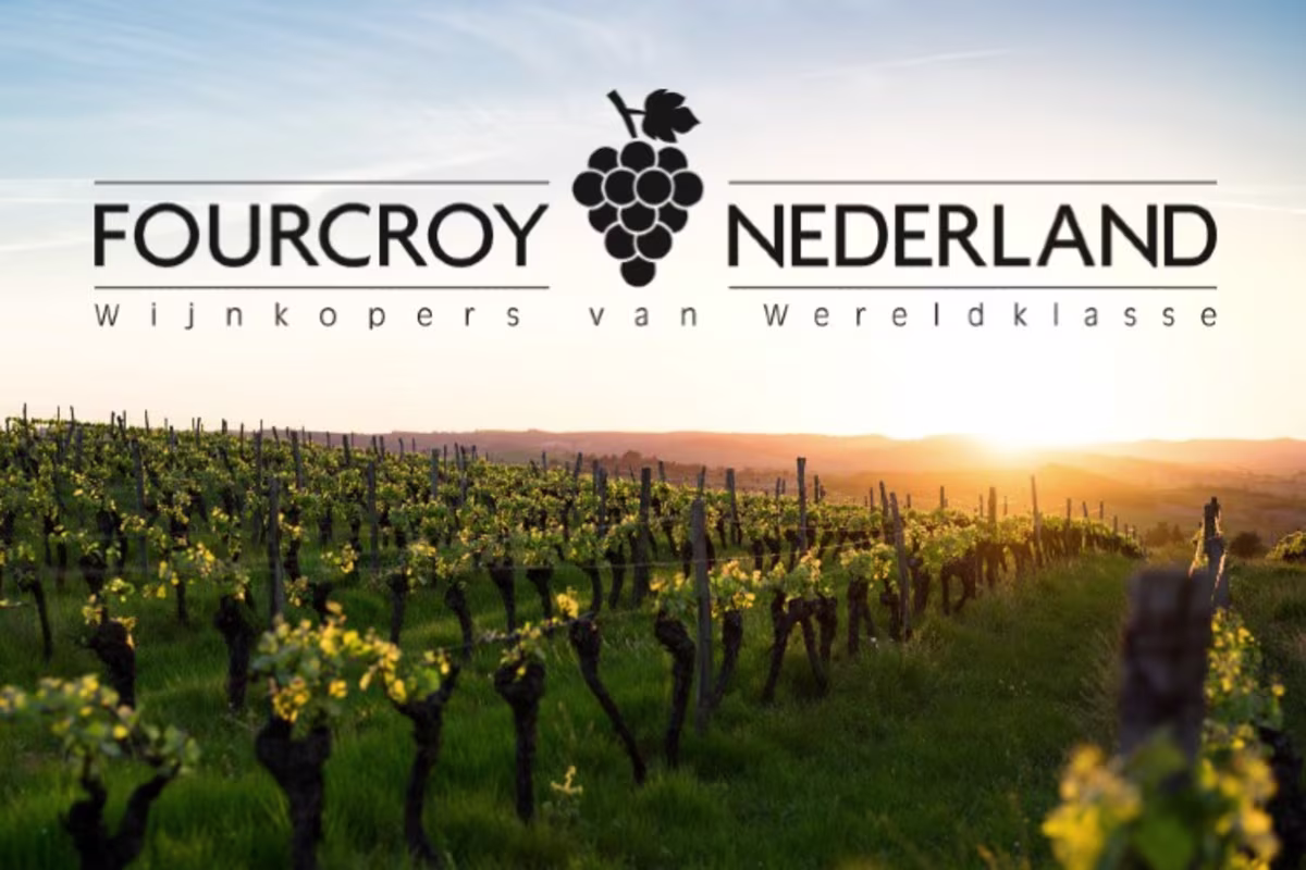 Concepten Wine Experience Fourcroy sfeerbeeld