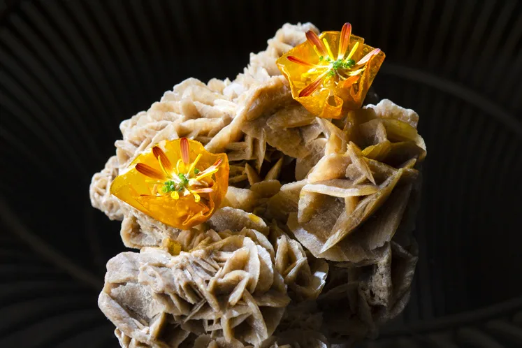 Receptbeeld van Vegan Foie