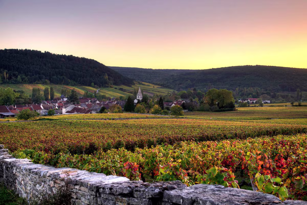 Prijzenfestival Wine tasting Jaffelin
