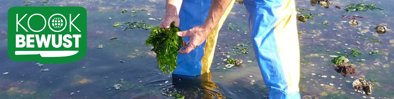 Jan Kruisse zeewier handel