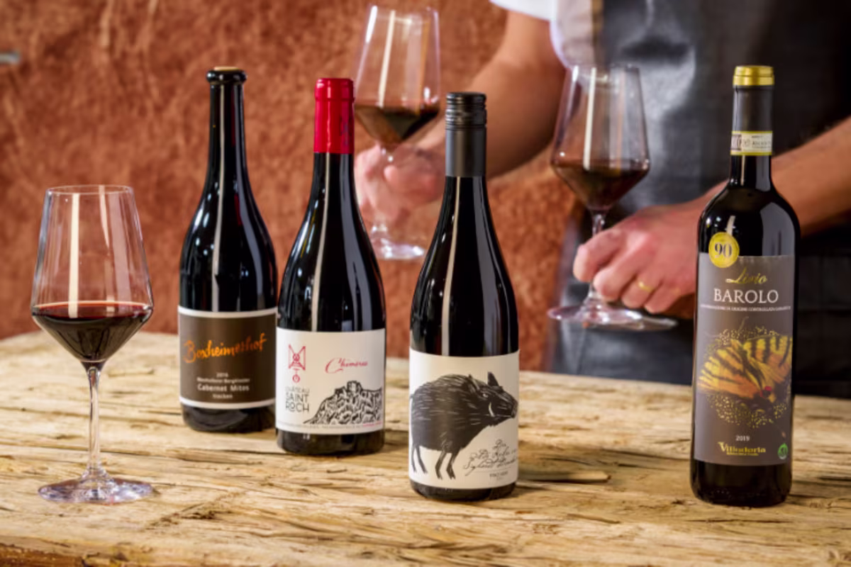 Sfeerbeeld Winterse wijnen