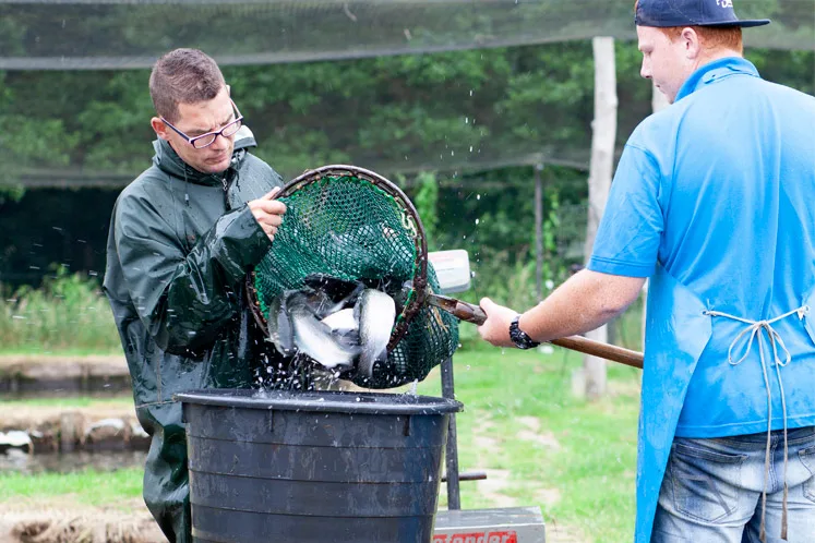 Forellenkwekerij ’t Smallert