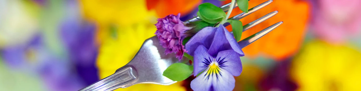 Sfeerbeeld Voorjaar Eetbare bloemen hoofdbeeld