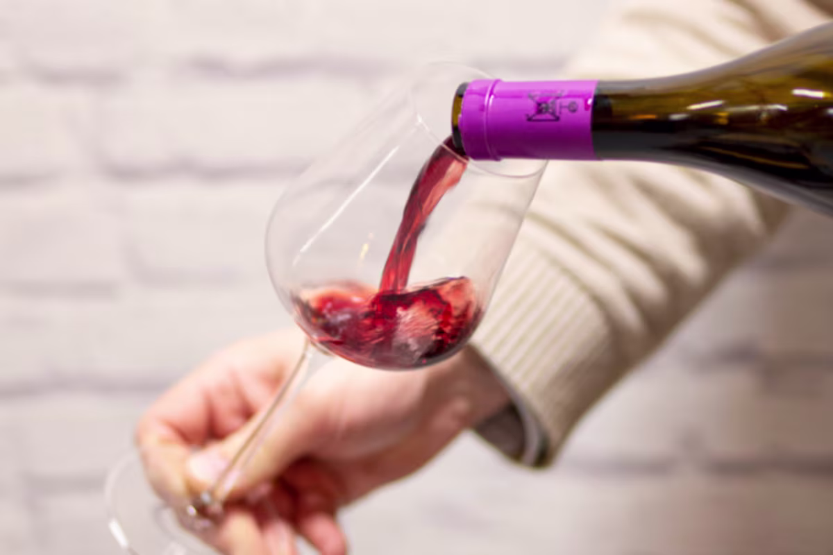 concepten Wine experience advies sfeerbeeld