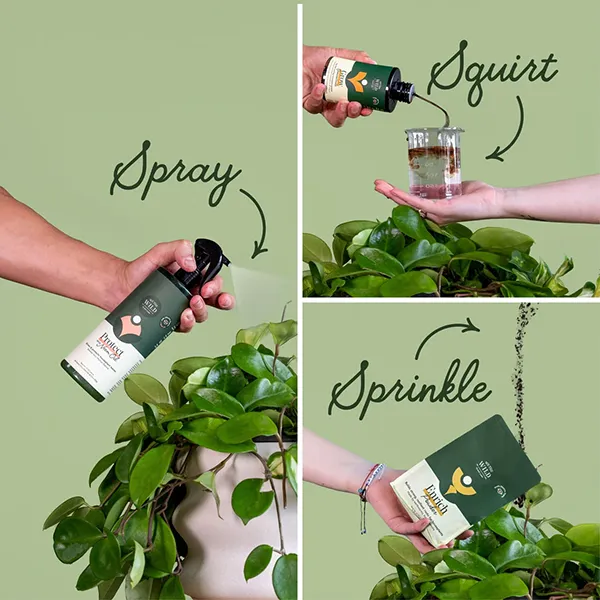 Shop Plant Care Products | Bachman's