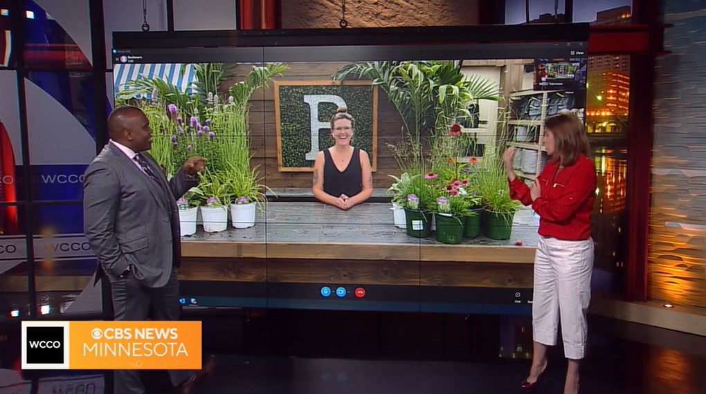 Beautiful Flower Delivery in Minneapolis Bachman's Floral, Home and