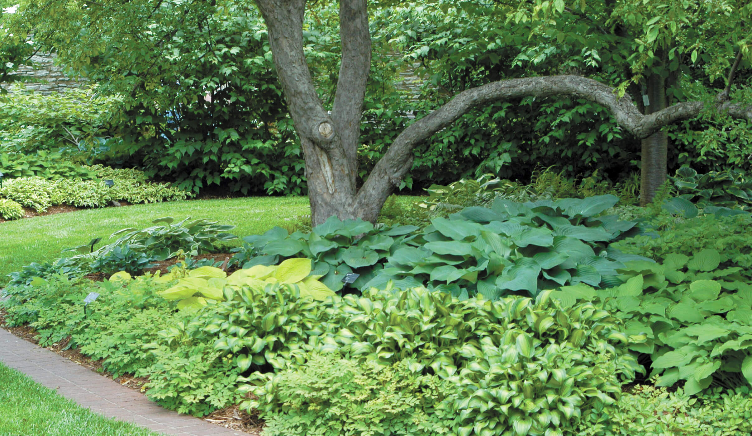 Beautiful Flower Delivery in Minneapolis Bachman's Floral, Home and