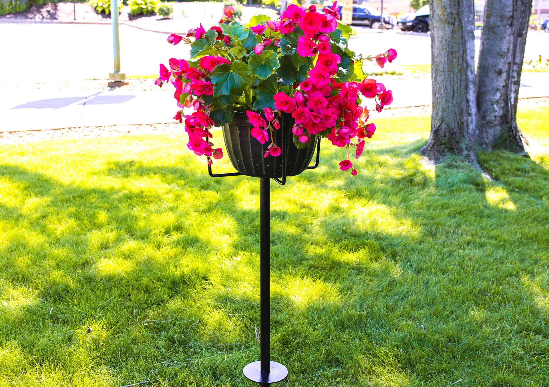 Shop Trellises And Plant Supports | Bachman's