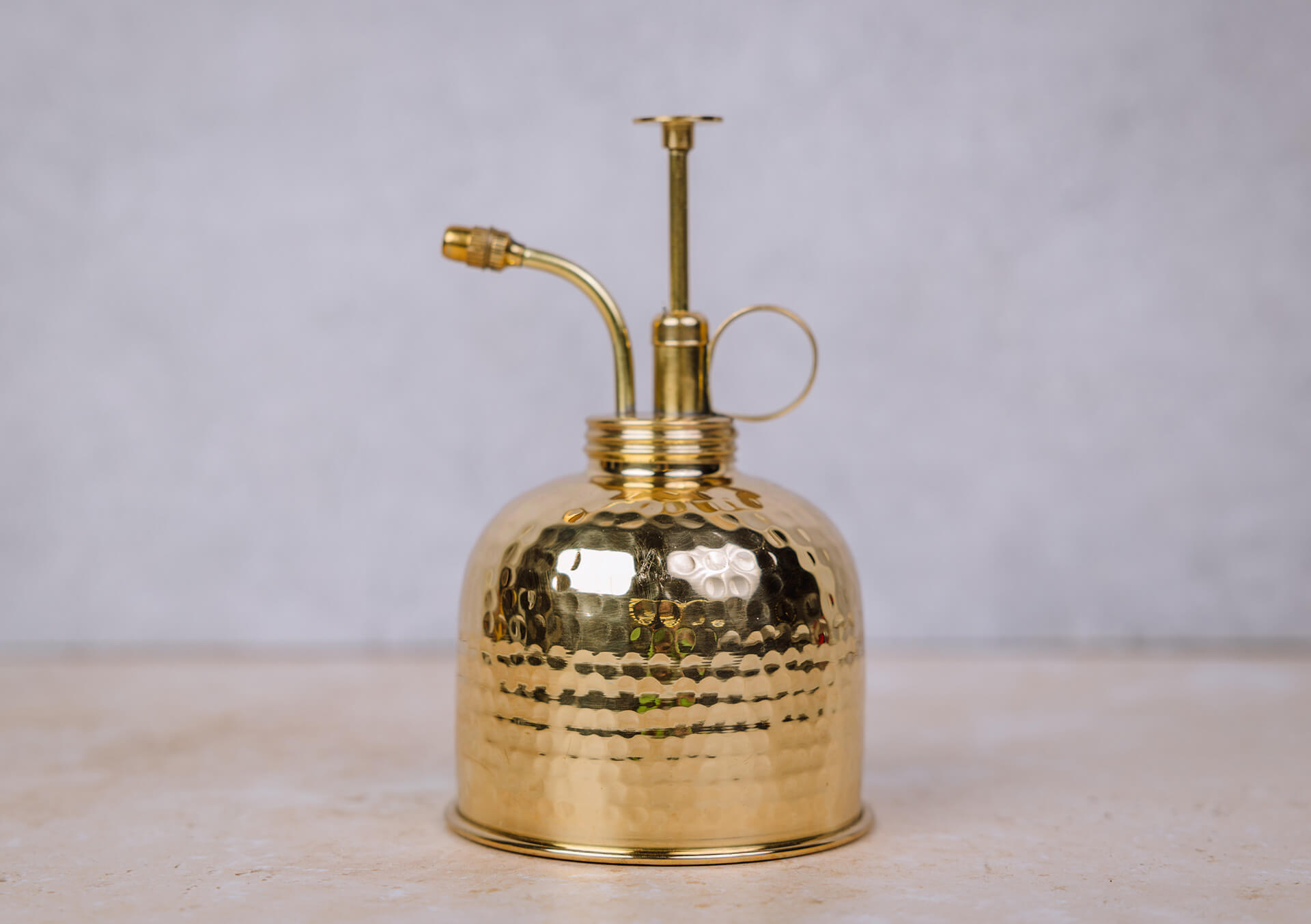 Indoor Plant Accessories for Sale in Minnesota at Bachman's