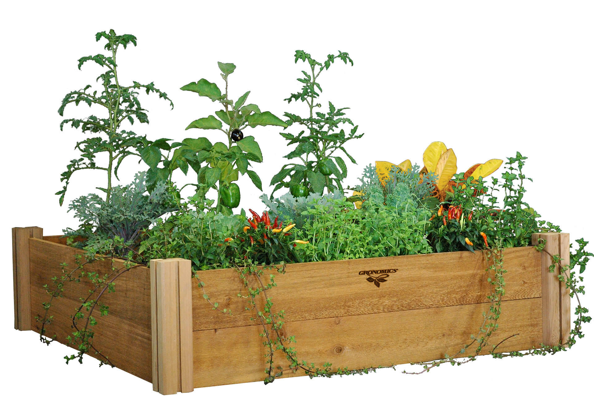 Get a Gift for a Gardener at Bachman's