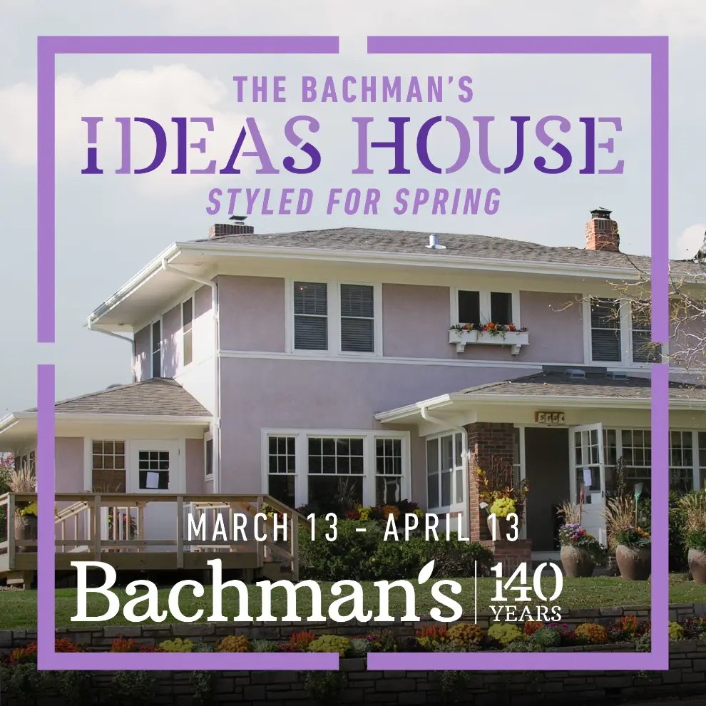 Beautiful Flower Delivery in Minneapolis Bachman's Floral, Home and