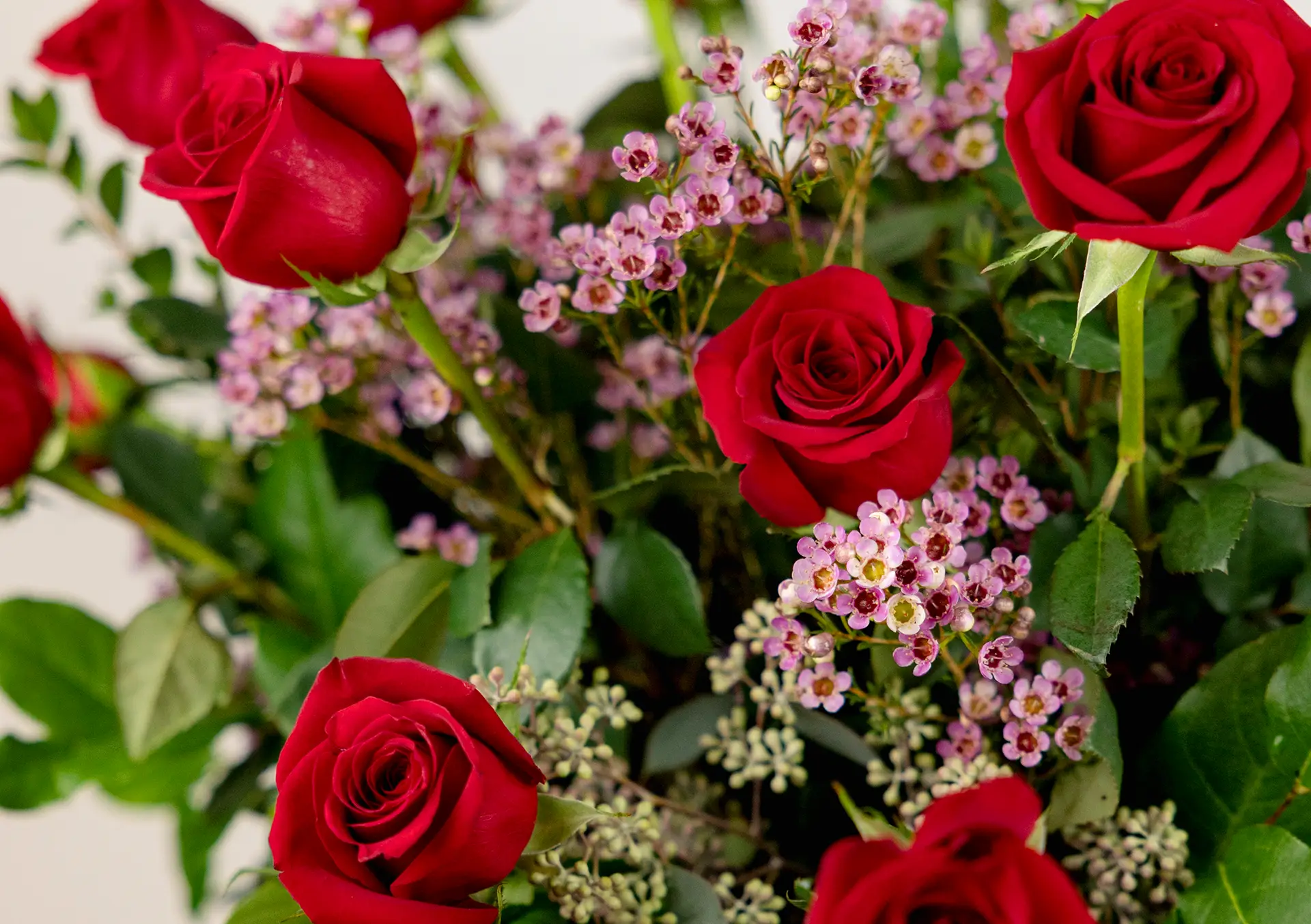 【美盤】St Germain / Rose 2 Red 12インチ Shop Red Two Dozen Roses for Delivery | Bachman's Minneapolis