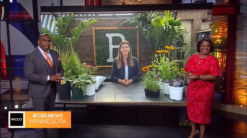 Beautiful Flower Delivery in Minneapolis Bachman's Floral, Home and