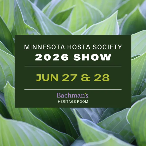 Shop Expressions Of Sympathy Greenery Garlands | Bachman's