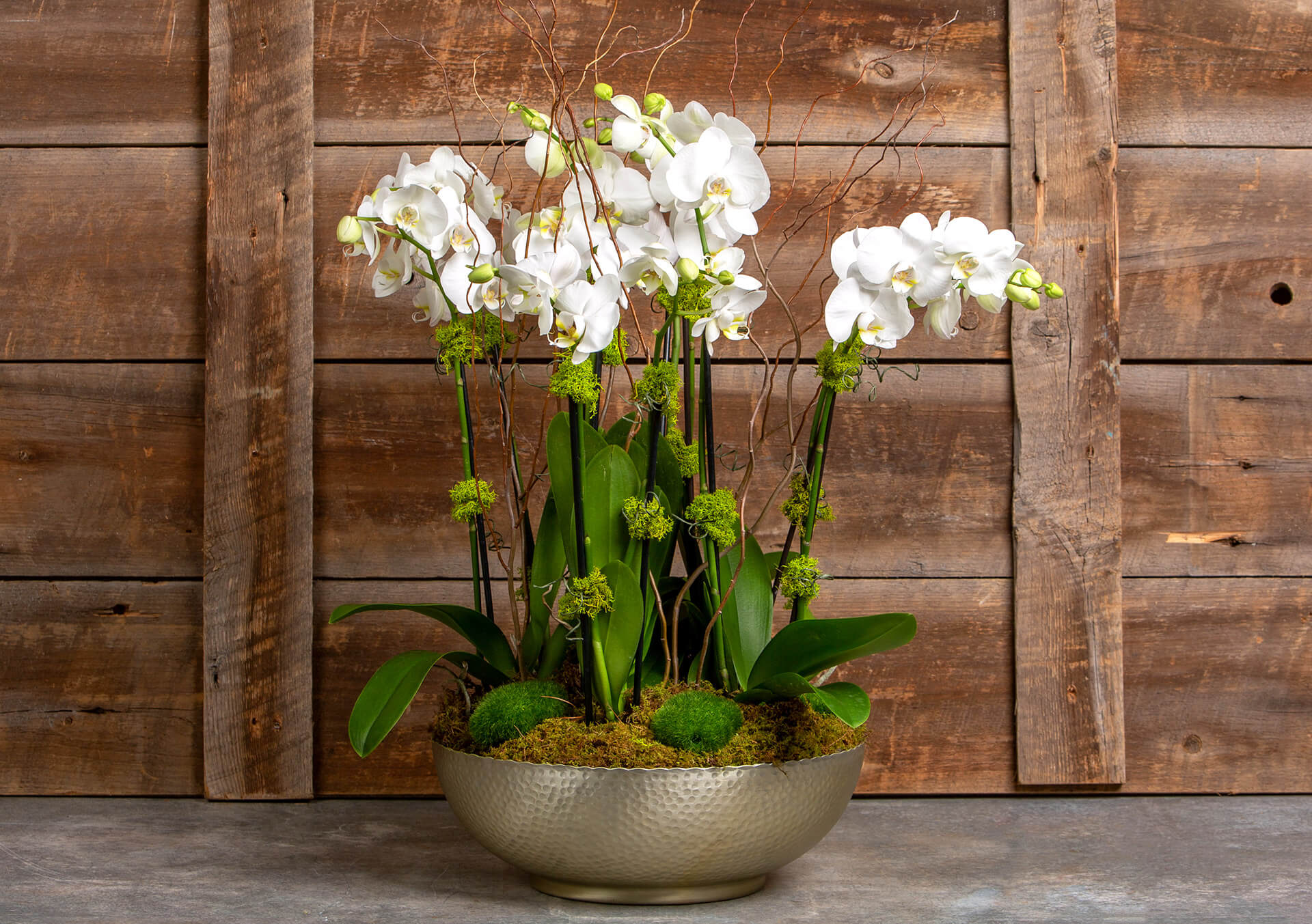 flowers-for-special-occasions-holidays-for-sale-in-minnesota