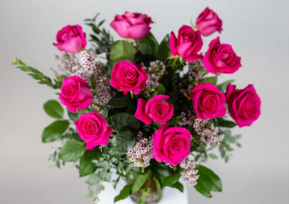 Shop Hot Pink Dozen Roses for Delivery | Bachman's Minneapolis