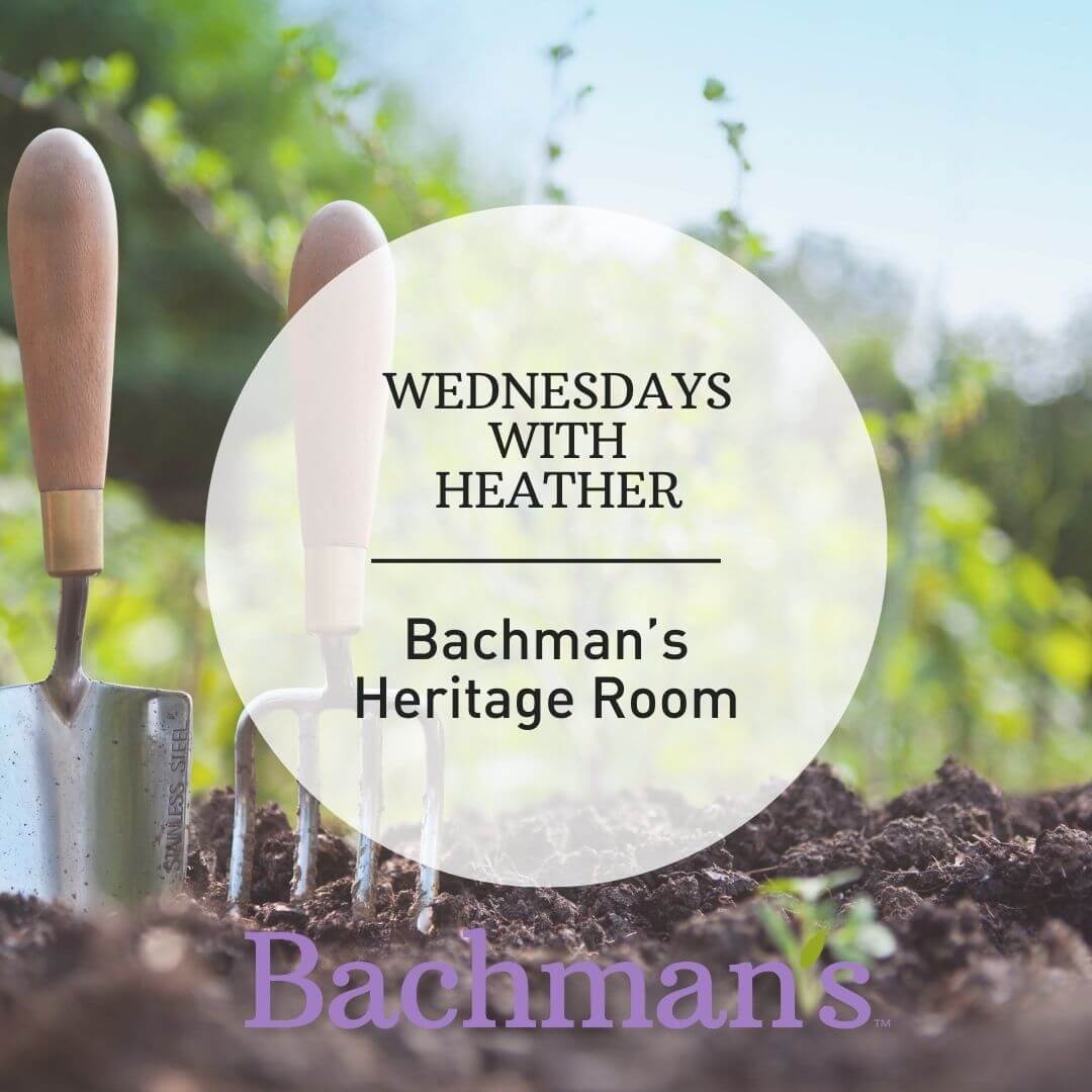 Minneapolis Flower Delivery Bachman's Floral, Home and Garden