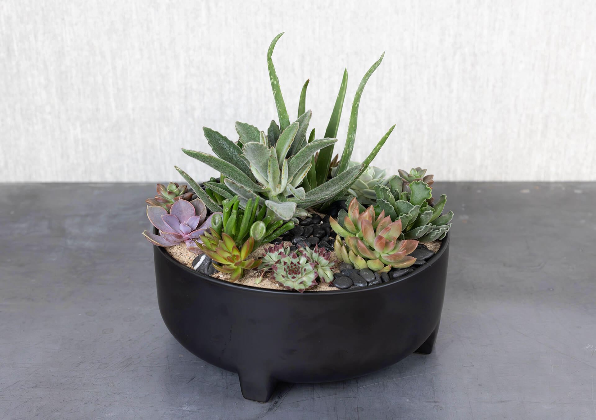 Sable Succulent Planter