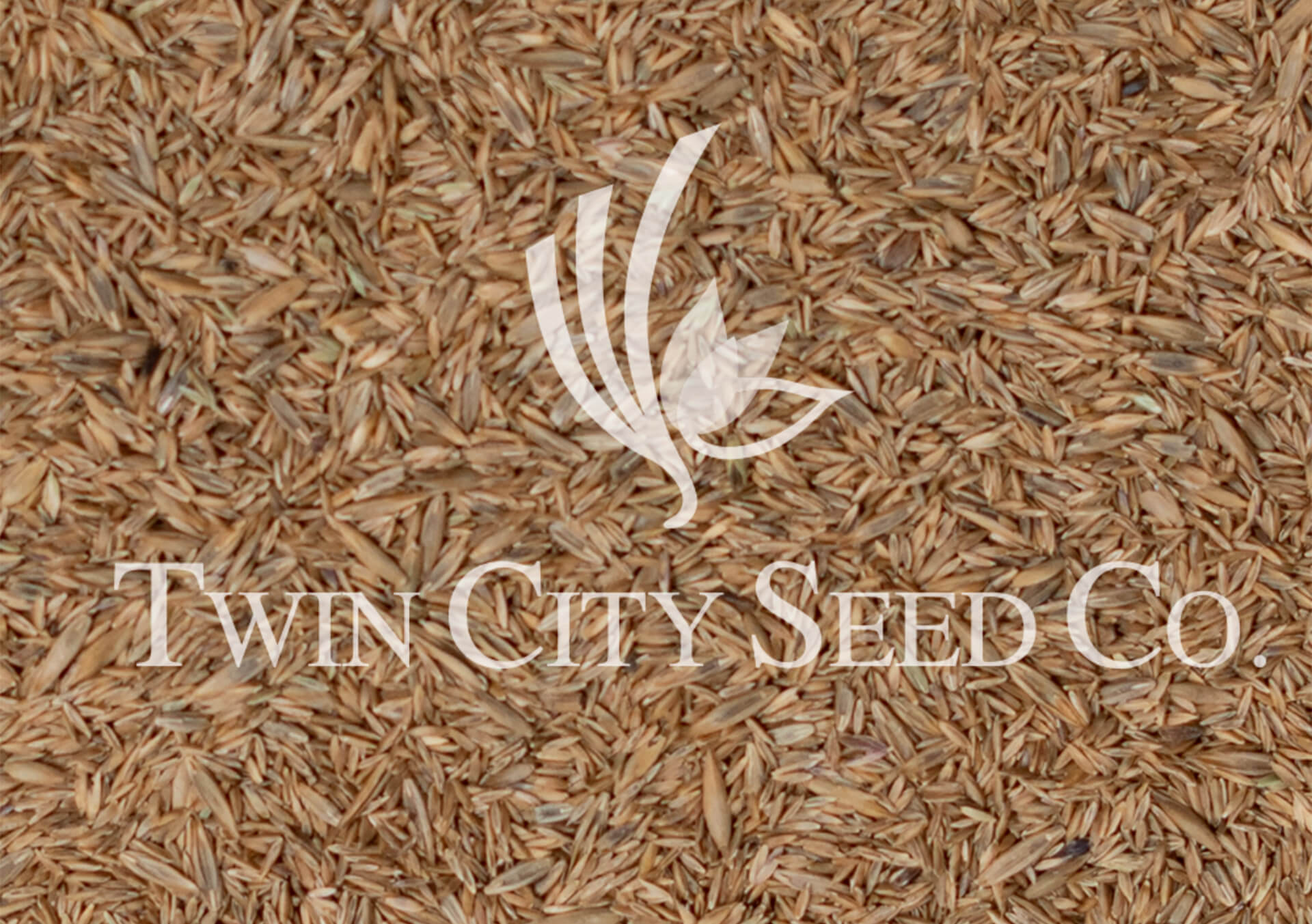 Buy Grass Seed, Lawn Repair, and Plant Care Supplies at Bachman's in