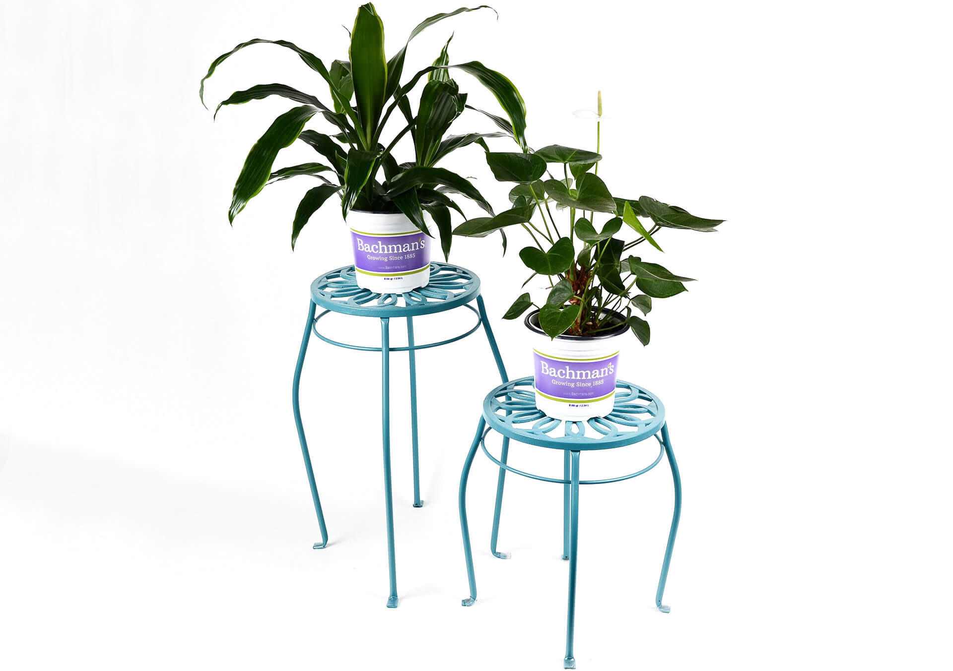 Shop Decorative Indoor Plant Stands | Bachman's